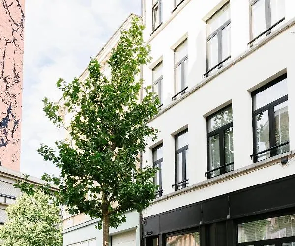 High-End Flats At South Area